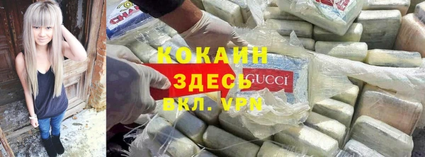 твердый Алзамай
