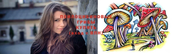 шишки Абдулино