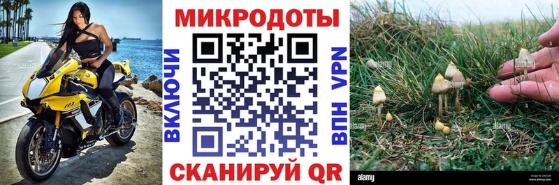 Галлюциногенные грибы Psilocybe  цены наркотик  Чайковский 